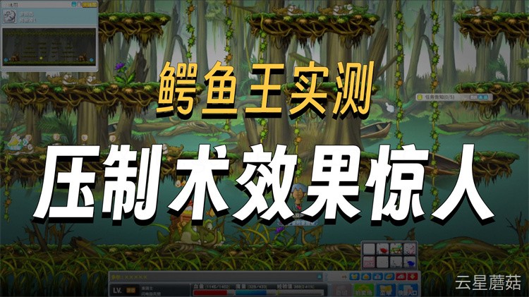 冒险岛私服职业选择指南:七大职业转职方向与养成思路