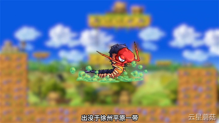 金银岛的黑魔法师阴影：冒险岛世界正史